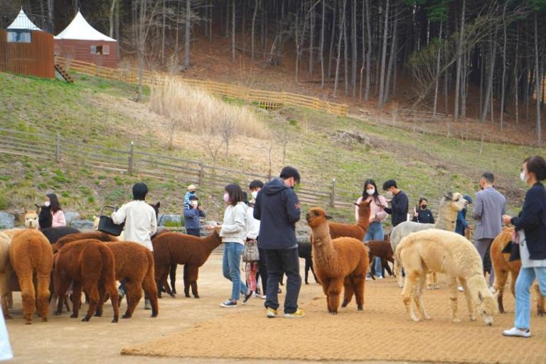 Holiday home Heidi Korea Hongcheon