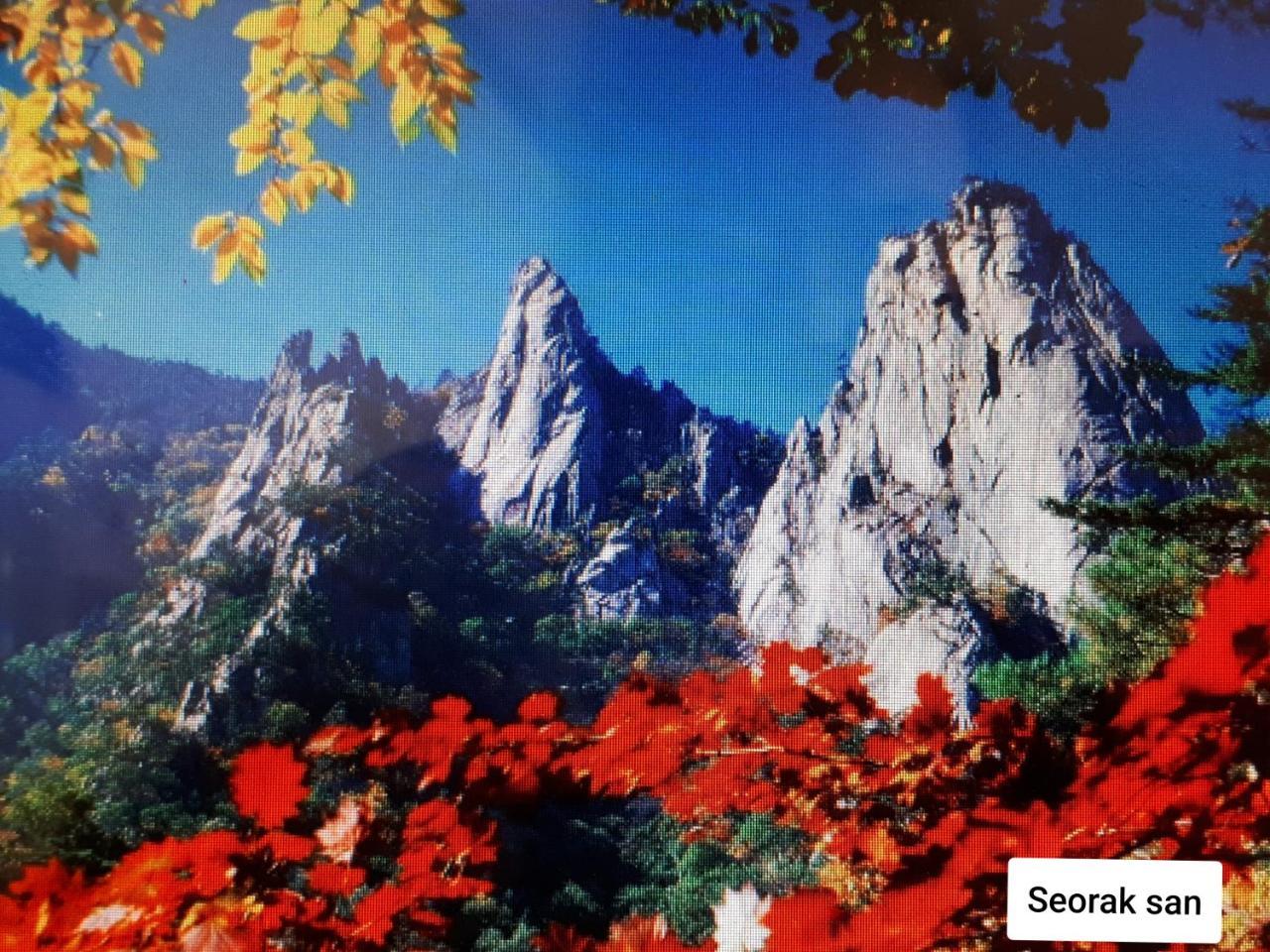 Heidi Korea * Hongcheon